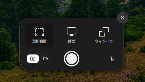 Ubuntu 22.04 LTS でスクリーンショットを撮る、スクリーンキャストを録る方法　パネル